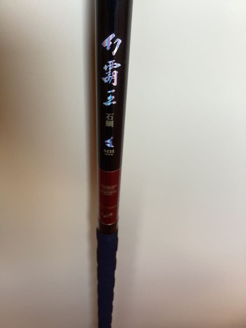 ダイワ 幻覇王 石鯛 MH504