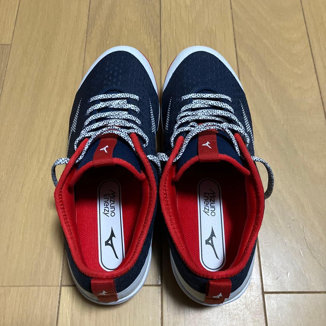 ドミナント 4 （26.０㎝）