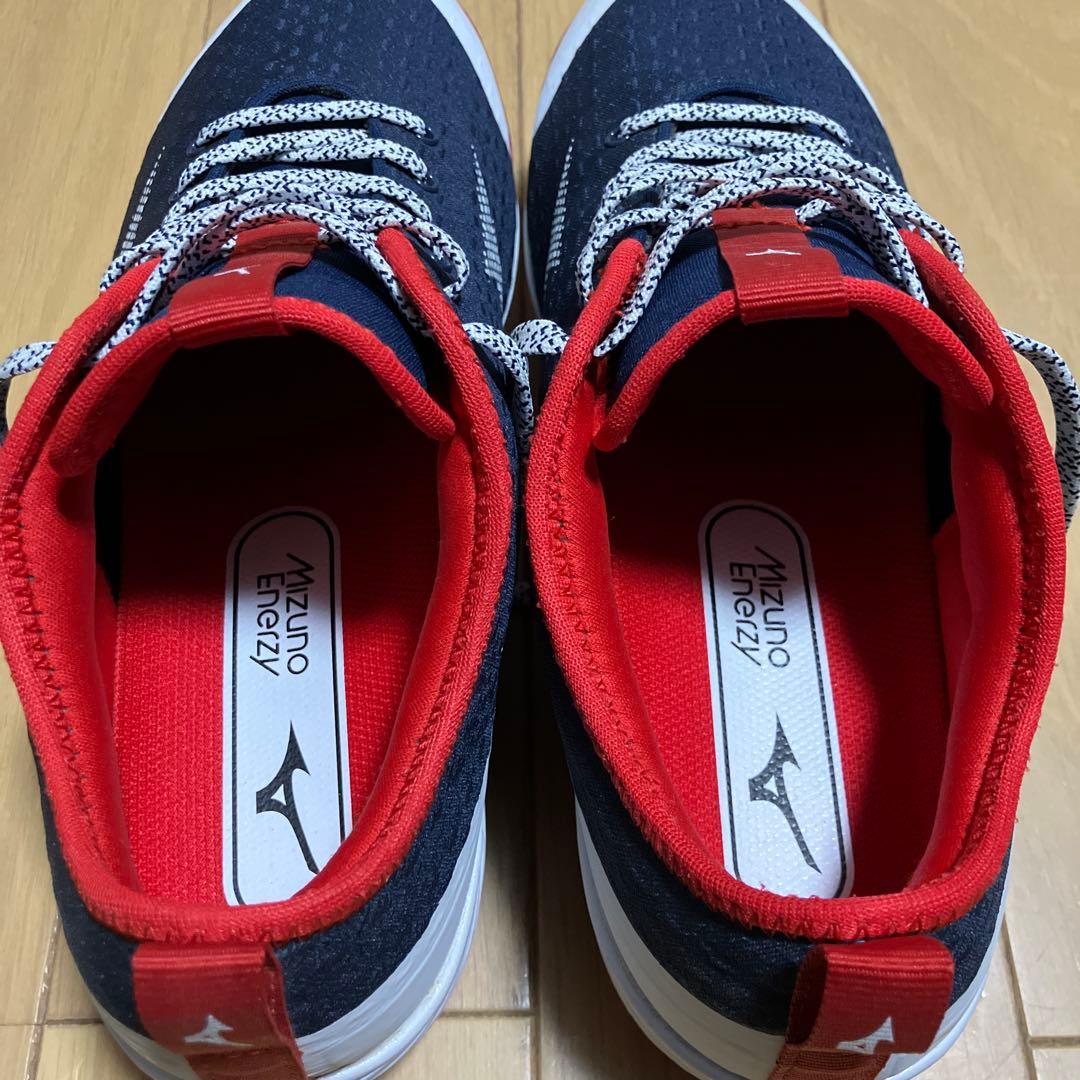 ドミナント 4 （26.０㎝）