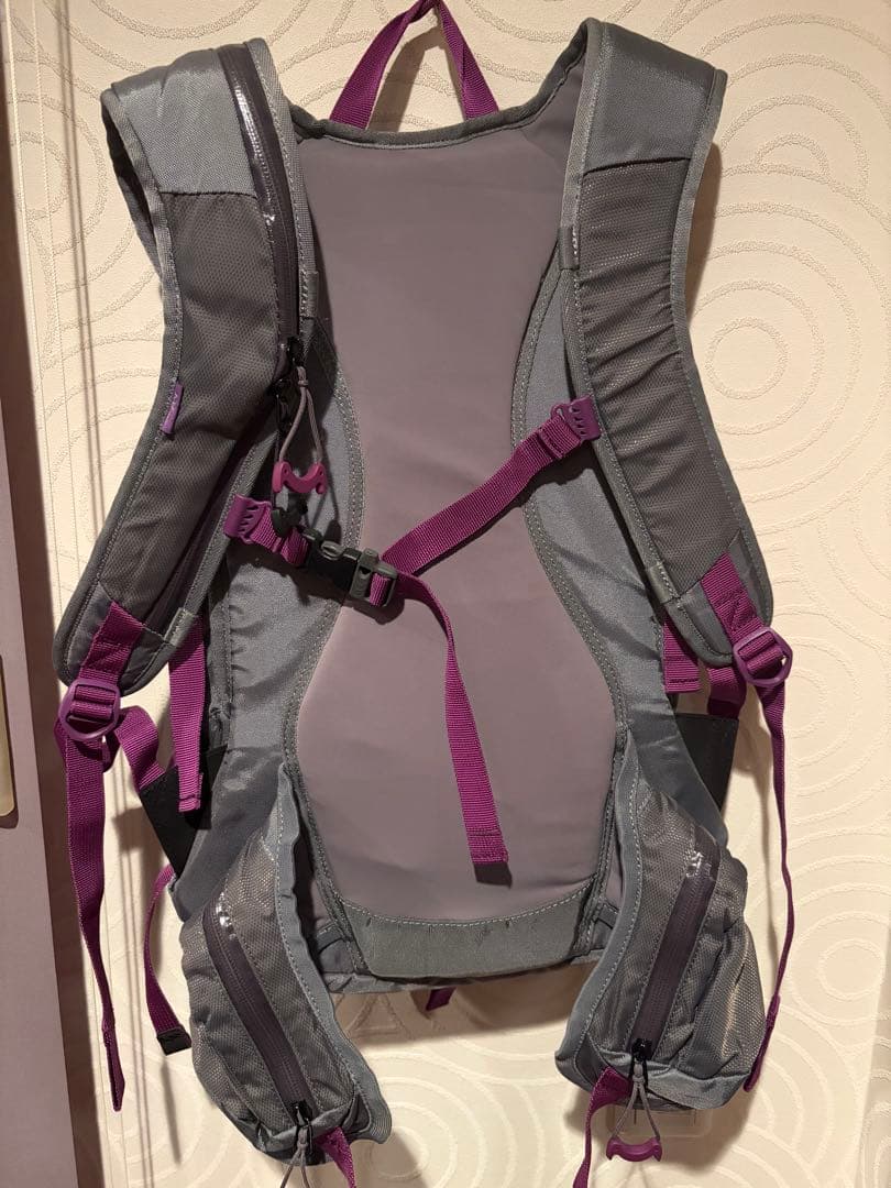 AK457 バックパック　18L 藤原ヒロシさん