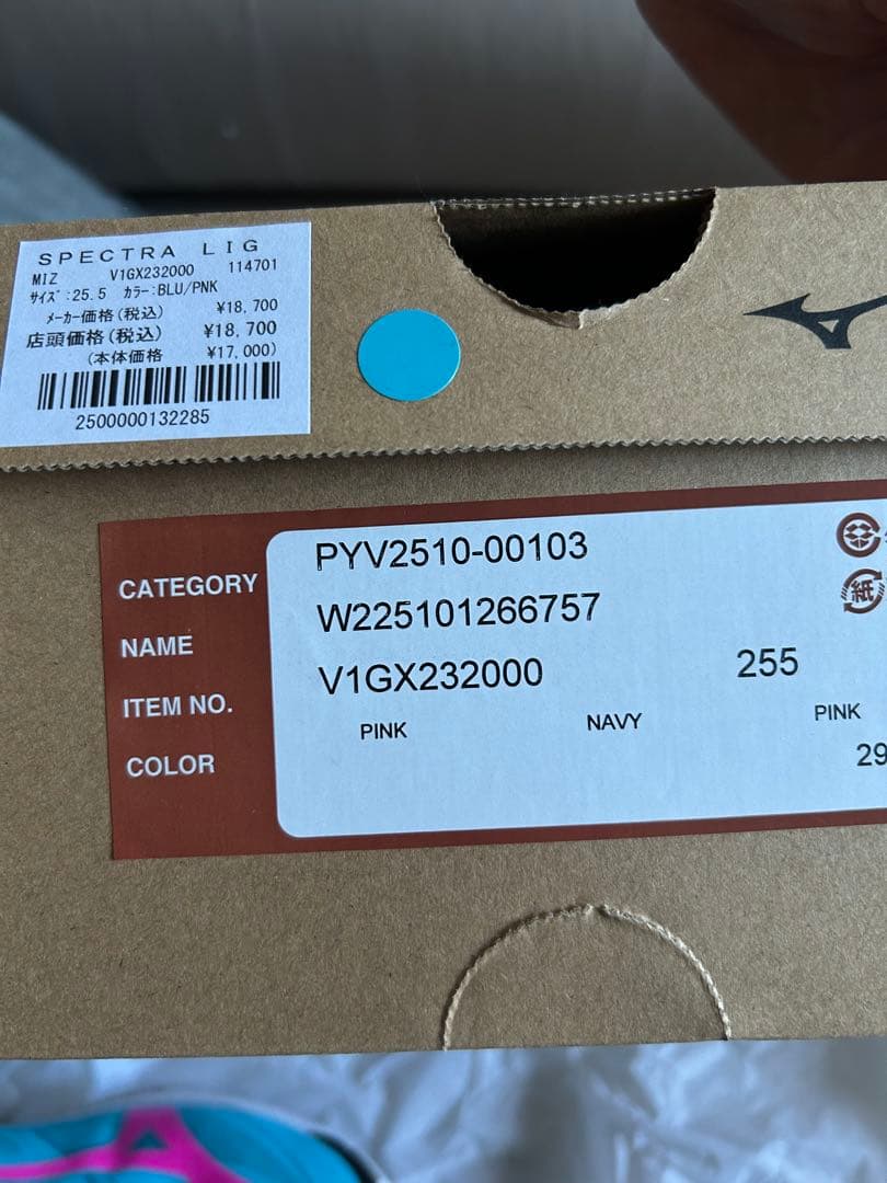 Mizuno バレーボールシューズ