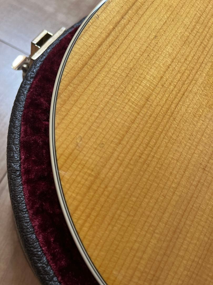 Taylor 210DLX 2015年製 ハードケース付