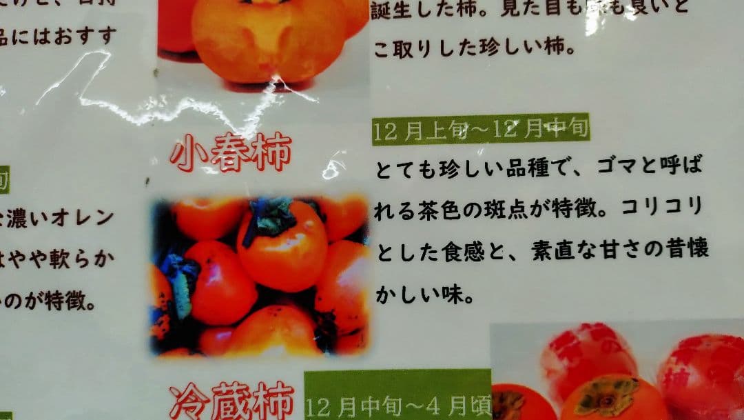 太秋柿 3年生 と小春3年生セット販売品！