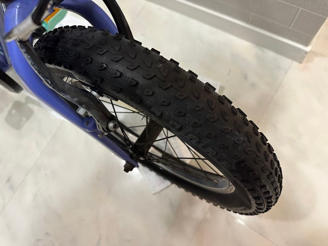 TREK Precaliber 16インチ キッズバイク　清掃・点検済み