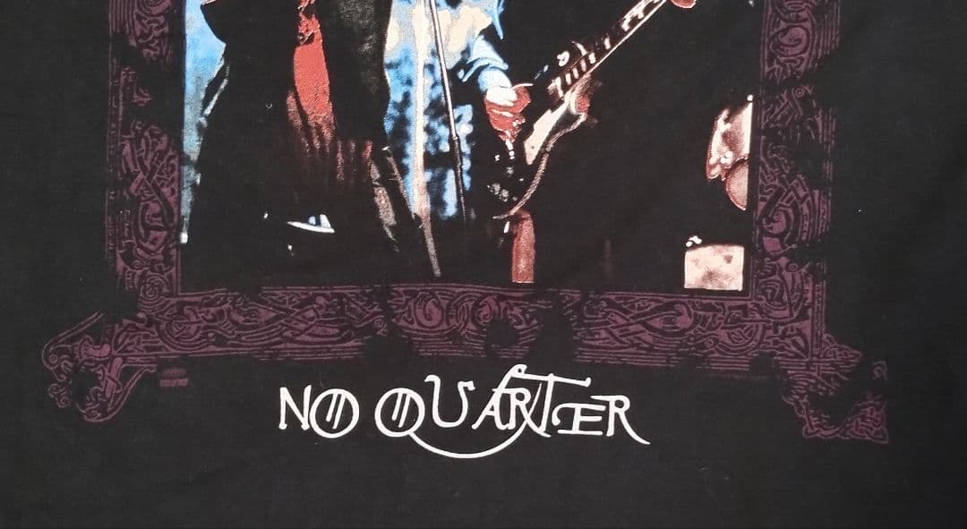超美品 ワンオク Taka 着用 ペイジ プラント 1995 ツアー Tシャツ