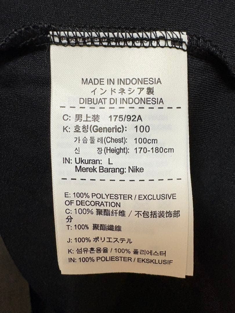【フェデラー着用モデル】NIKE Tシャツ Lサイズ