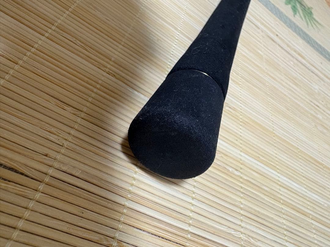 ロッド DAIWA SALTIGA J TECHNICAL STEER S55-2.5