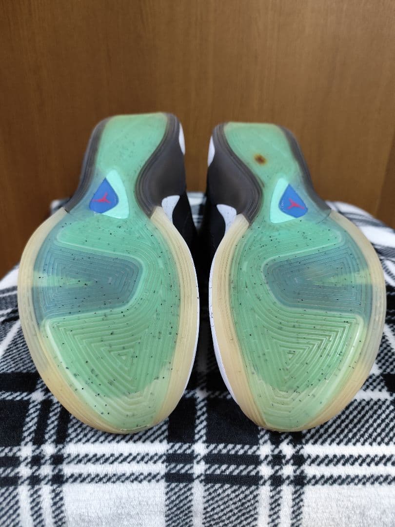 Jordan Luka 1 ナイキ ジョーダン ルカ1 27.0cm