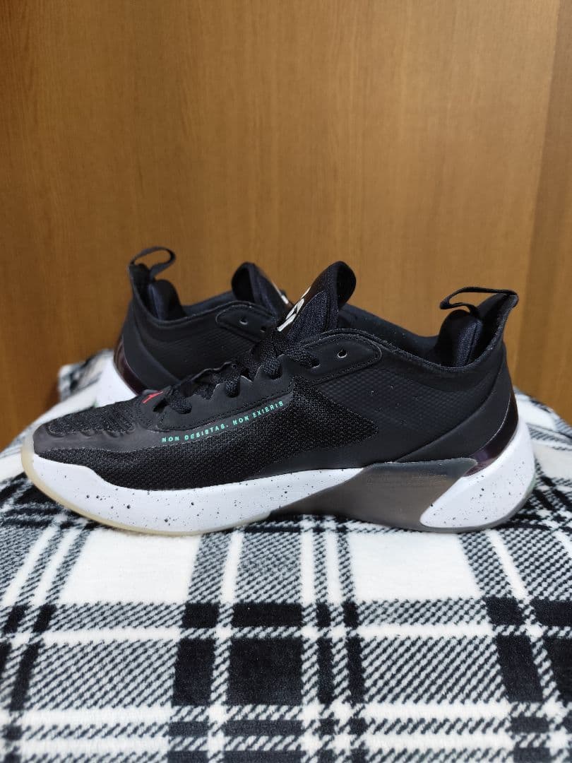Jordan Luka 1 ナイキ ジョーダン ルカ1 27.0cm