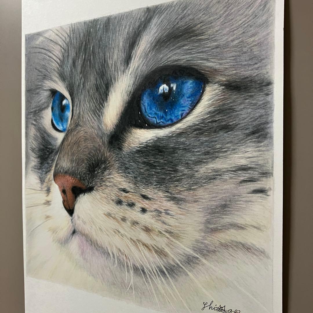 CAT 色鉛筆画