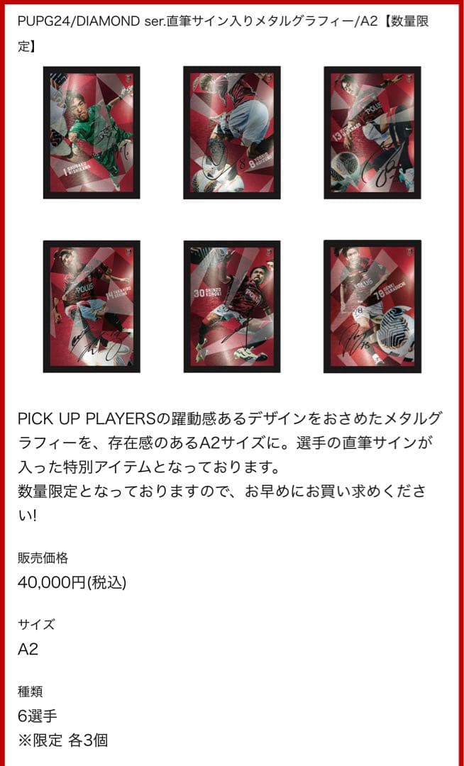 興梠慎三 直筆サイン入り メタルグラフィー A2サイズ