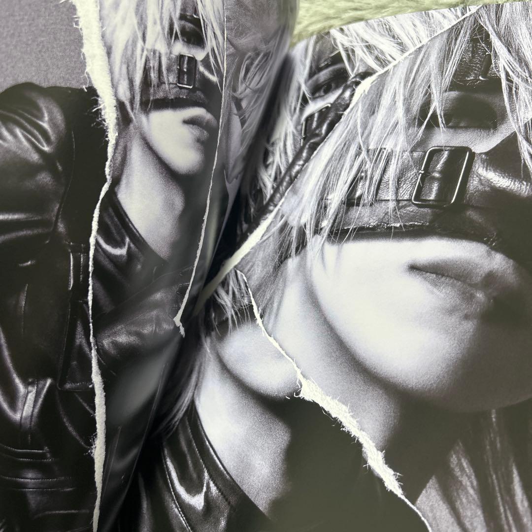 the GazettE MASS パンフレット