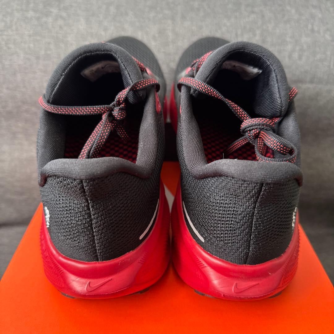 ペガサス 41 NIKE ナイキ 28.5cm