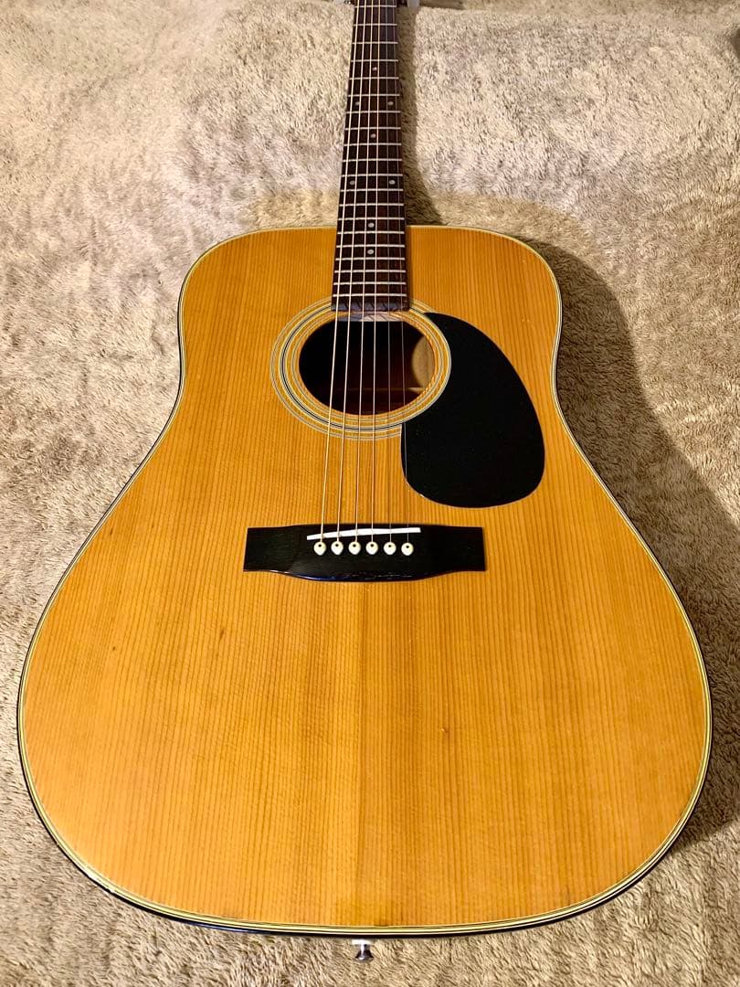 Jagard JD-150 寺田製70s国産レアモデル ビンテージギター