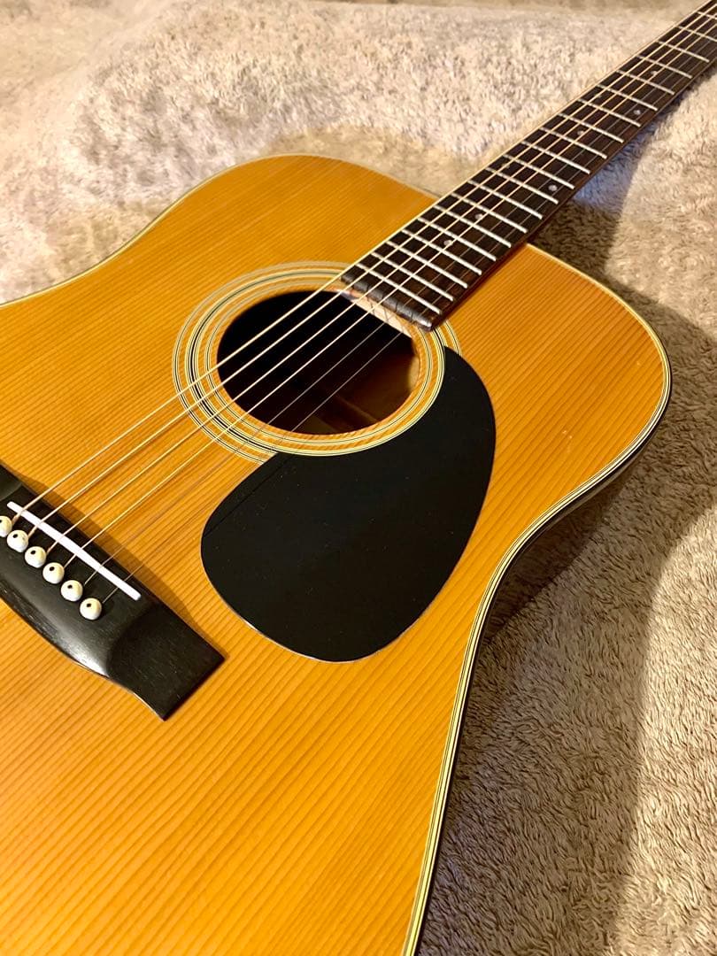 Jagard JD-150 寺田製70s国産レアモデル ビンテージギター