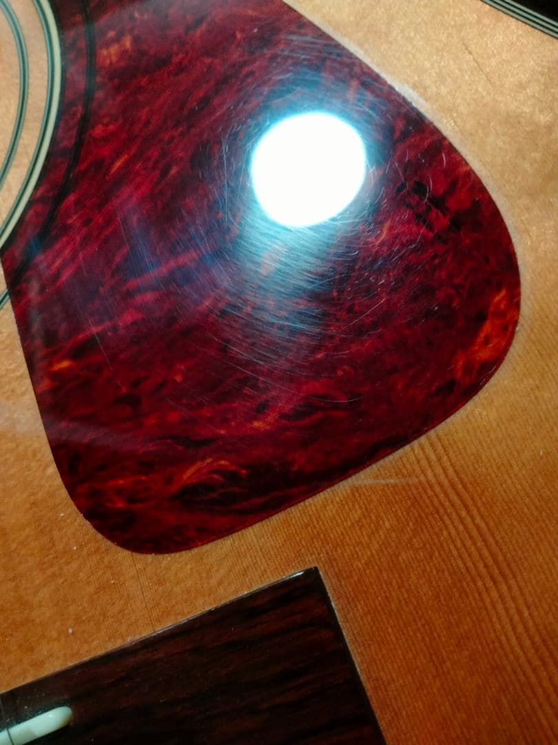 Fender トップ単 韓国製 DG21S ドレッドノート