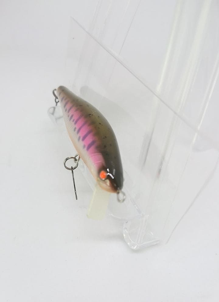 Raytune Gene 50S ヤマメオレンジベリー　デビルアイ　22モデル