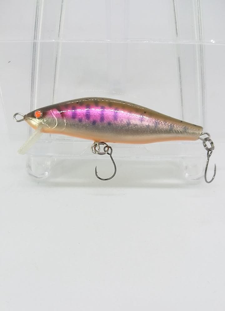 Raytune Gene 50S ヤマメオレンジベリー　デビルアイ　22モデル