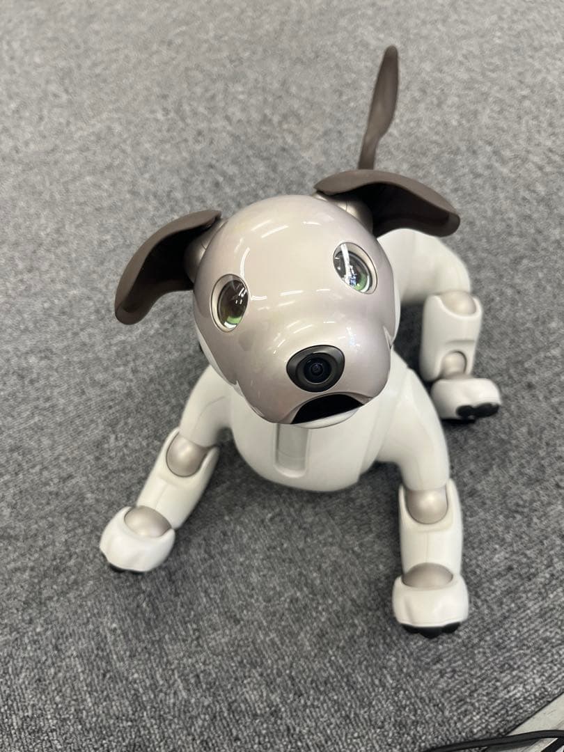 ソニー aibo アイボ ペットロボット ERS-1000 【中古】