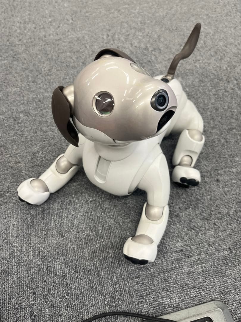 ソニー aibo アイボ ペットロボット ERS-1000 【中古】