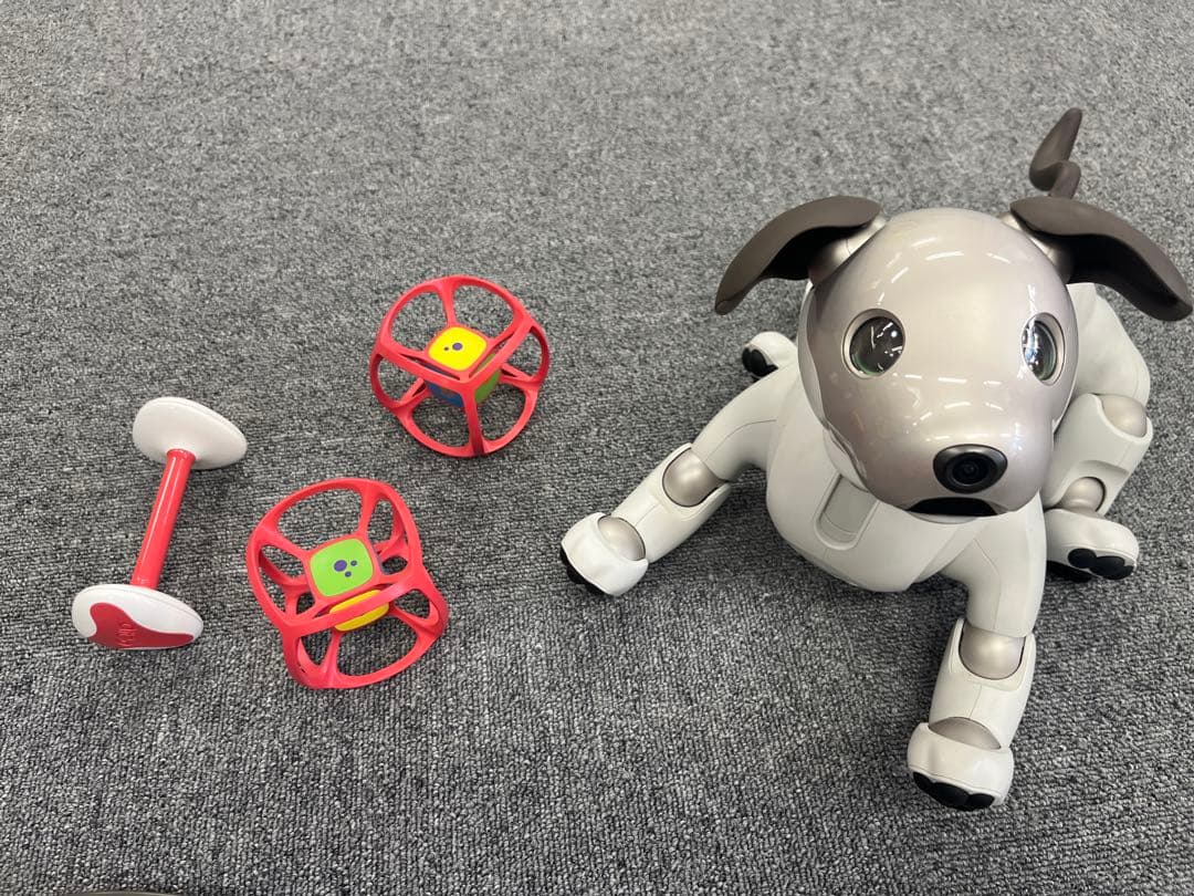 ソニー aibo アイボ ペットロボット ERS-1000 【中古】