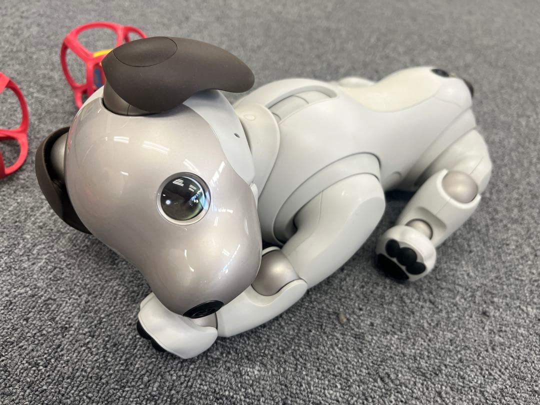 ソニー aibo アイボ ペットロボット ERS-1000 【中古】