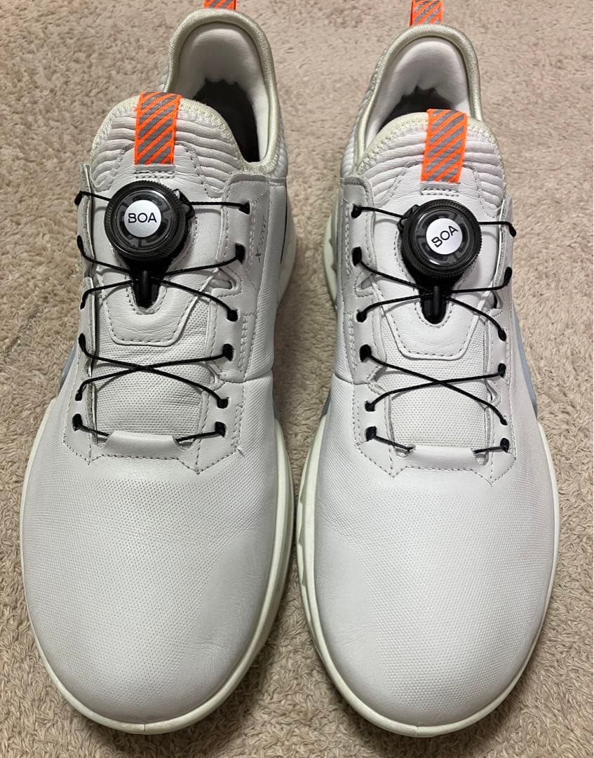 Eccoゴルフシューズ　サイズ43 BIOM C4