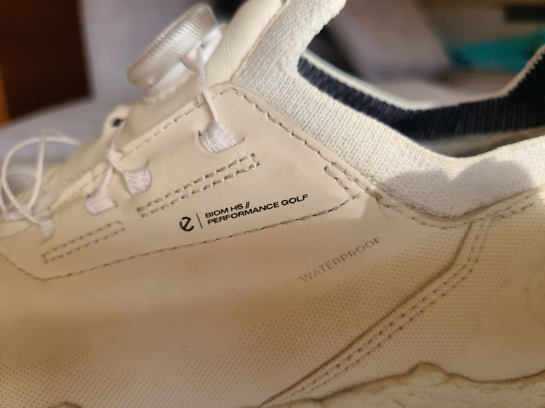 値下げエコー ecco BIOM H5 BOAゴルフシューズ39(24.5cm)