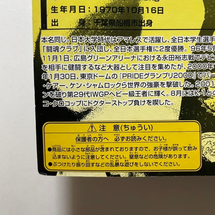 プロレスフィギュア　藤田和之　ベルト付