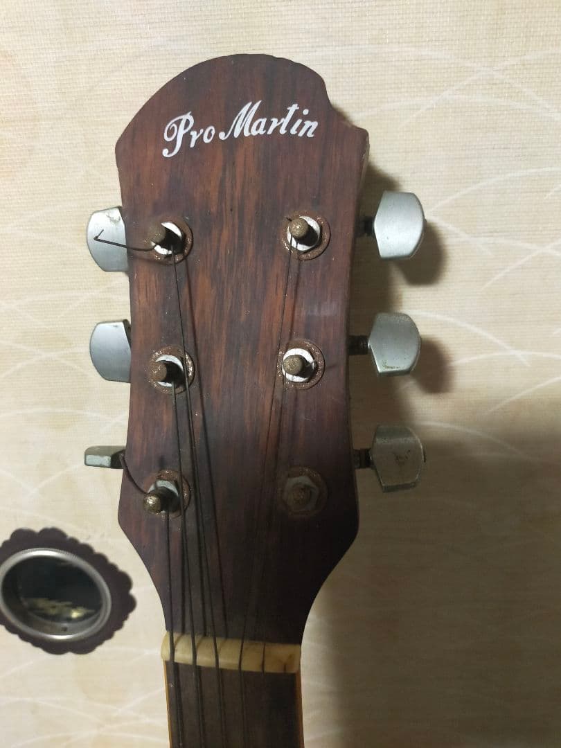 Pro Martin プロマーティン エレアコ