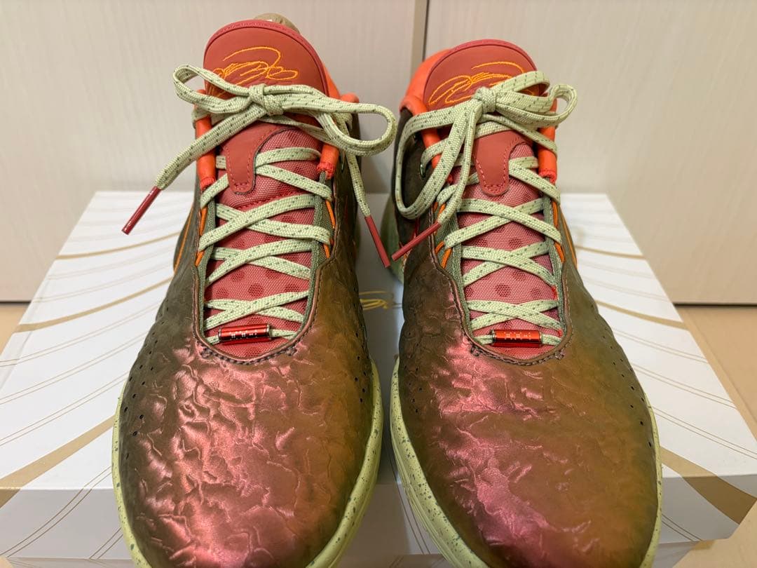 シューズ(男性用) NIKE LEBRON 21 27.5cm