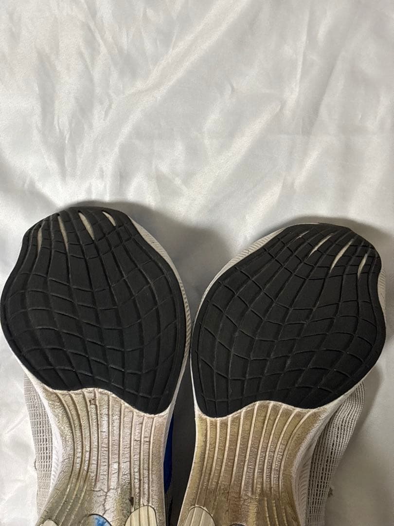 NIKE ヴェイパーフライ2 28cm