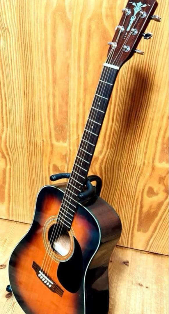 【エレアコカスタム 即戦力】Aria ADW-200BS 低弦高 ソフトケース