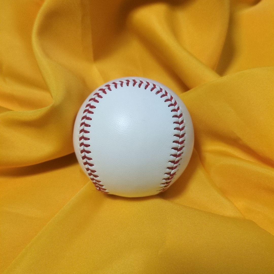 大谷翔平選手直筆サインボール 【透明ケース付き】
