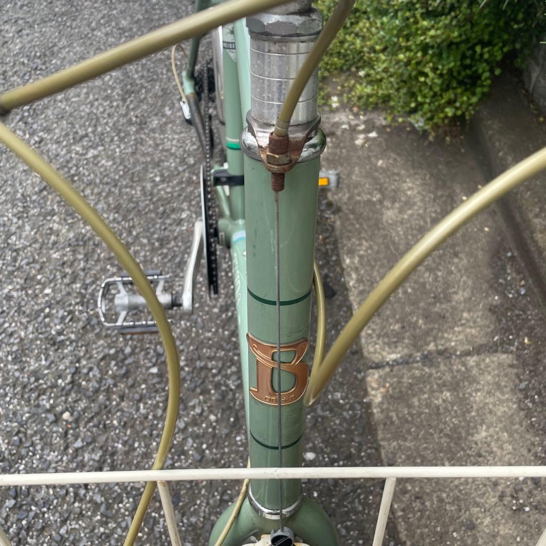 BRUNO ミニベロ グリーン　510mmサイズ