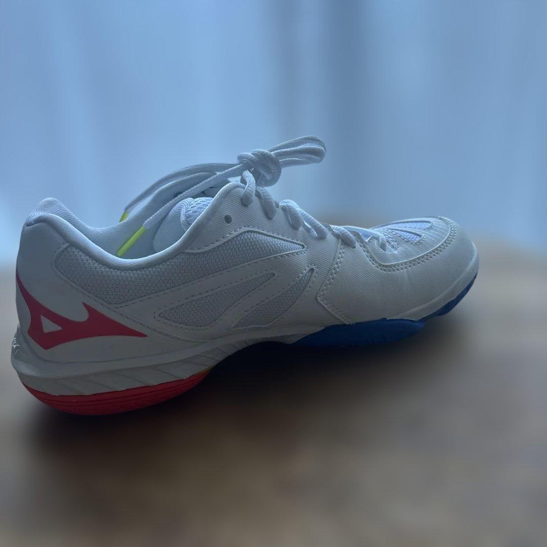 【あ】【新品】Mizuno バドミントンシューズ