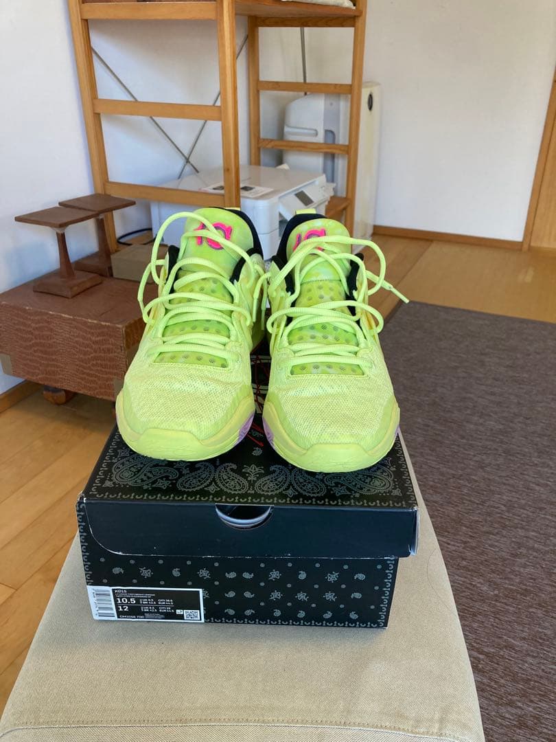 Nike KD 15海外限定カラー28.5