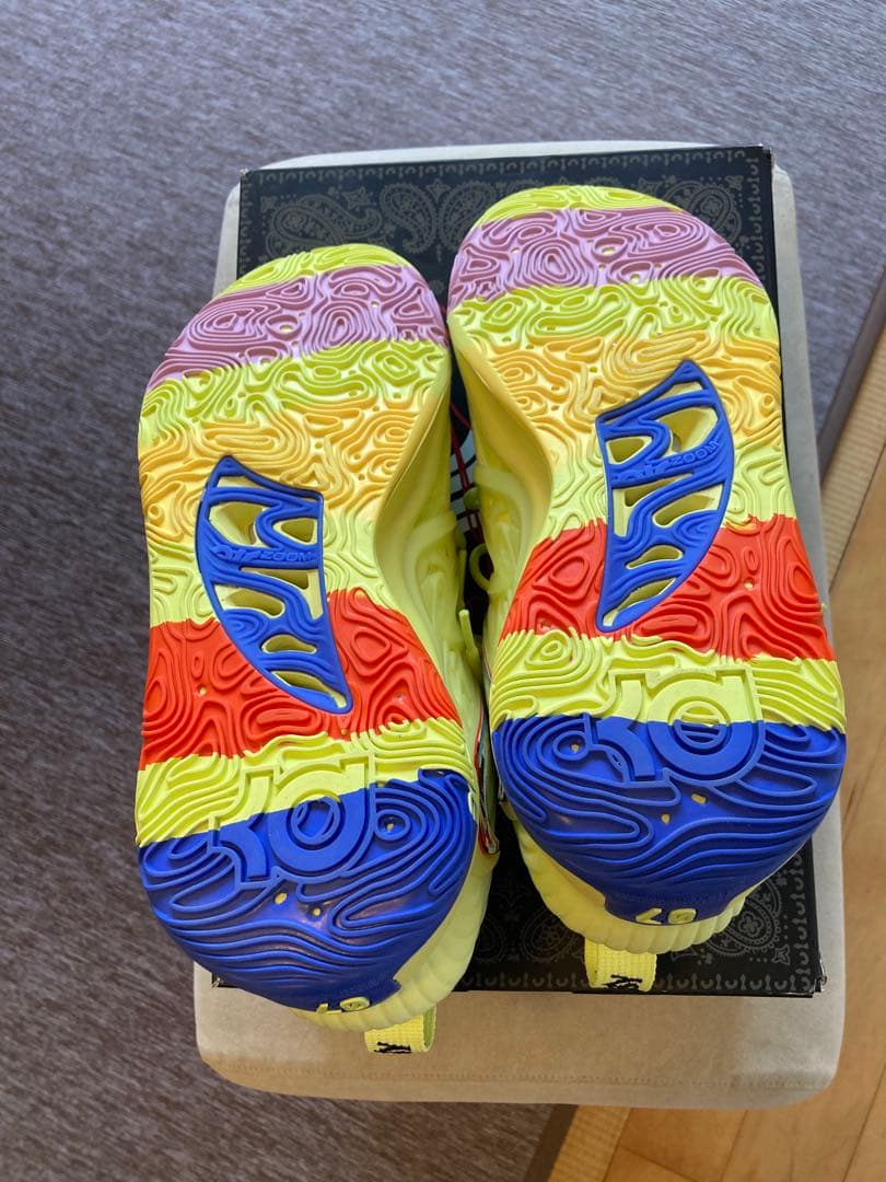 Nike KD 15海外限定カラー28.5