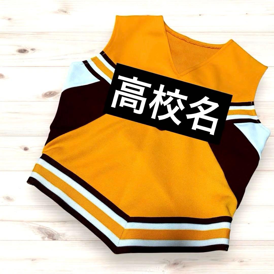 希少　廃盤　高校 チアユニフォーム 上衣のみ 旧タイプ 34/16チームロゴ刺繍