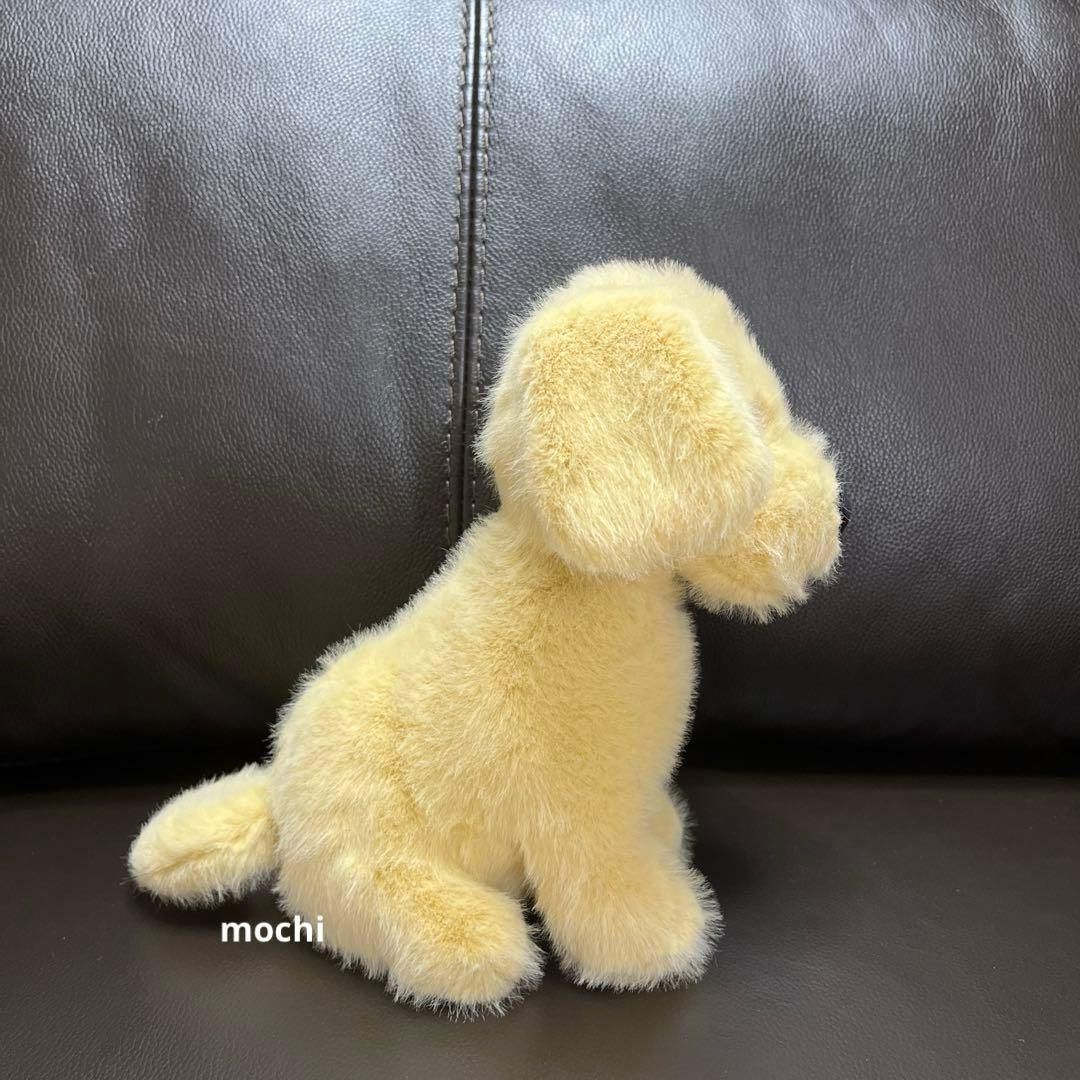  Golden Puppy ゴールデンレトリバー