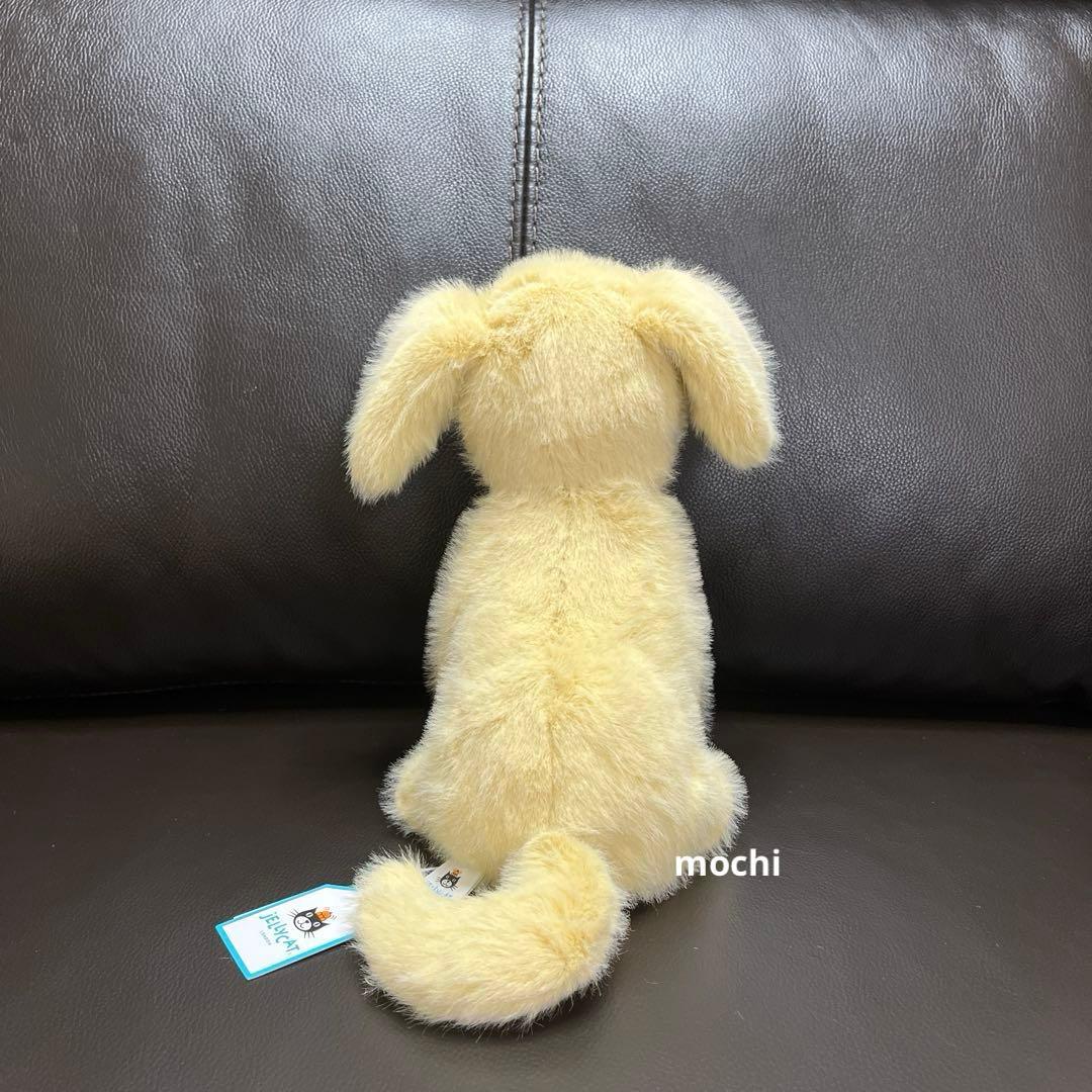 Golden Puppy ゴールデンレトリバー