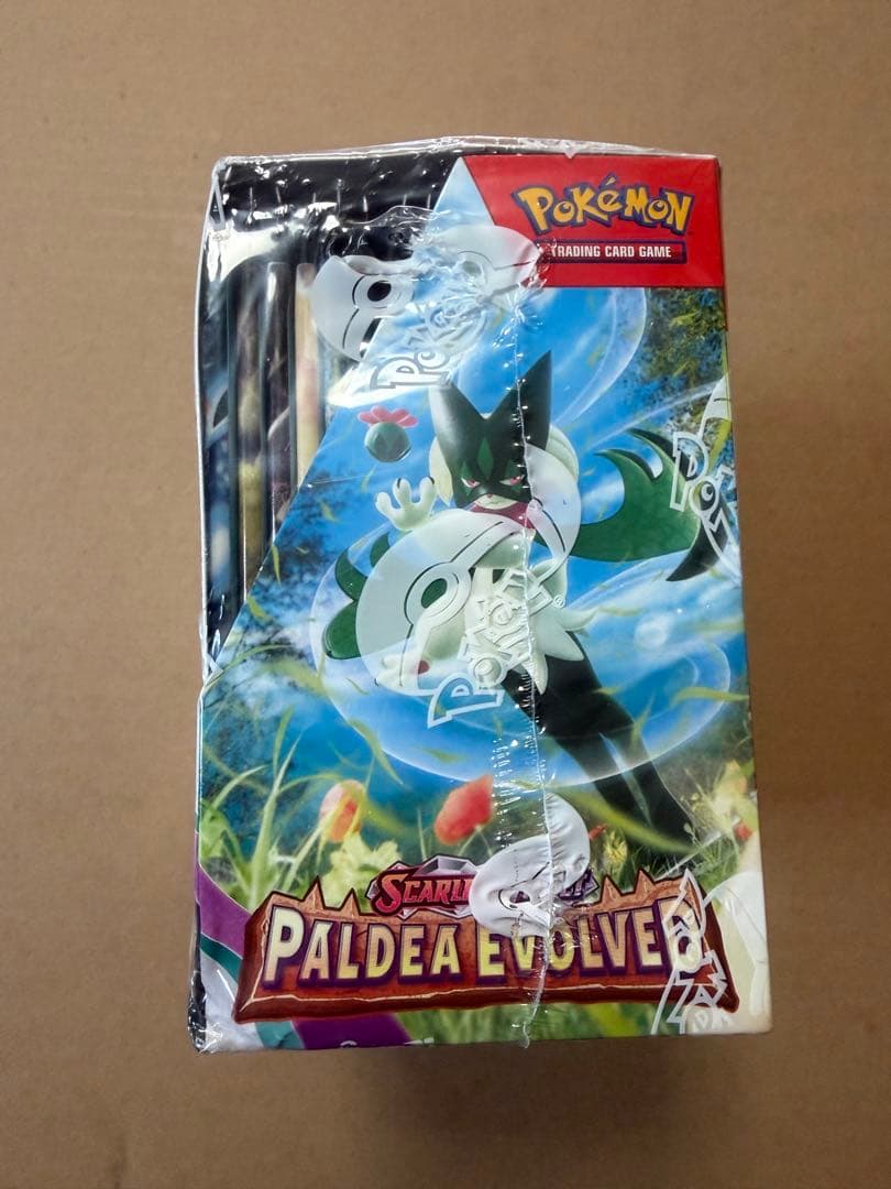 海外版　英語　POKÉMON PALDEA EVOLVED BOX 新品未開封